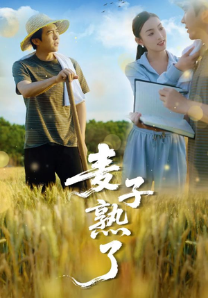 短剧《麦子熟了》52集短剧全集下载离线随时看