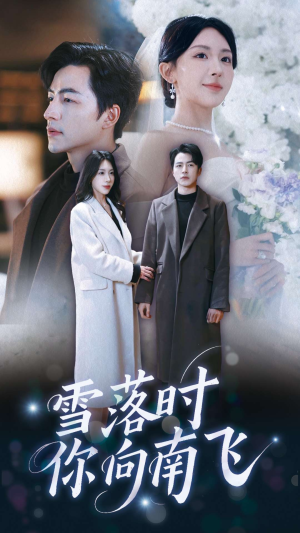 短剧《雪落时你向南飞》34集短剧全集无广告在线观看