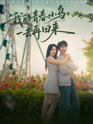 短剧《我的青春小鸟一去再回来》95集短剧全集无广告观看