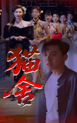 猫舍（34集）免费短剧完整版