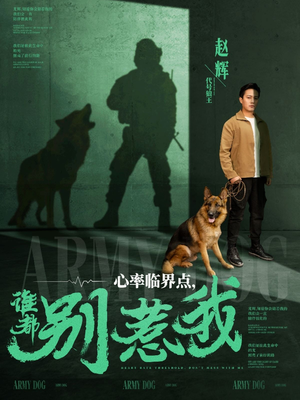 心率临界点谁都别惹我（96集）番茄小说短剧免费看