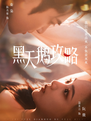 黑天鹅攻略（65集）百度网盘在线看短剧