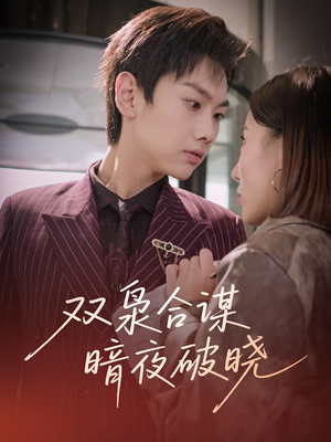 双枭合谋暗夜破晓（30集）下崽红果短剧免费看全集