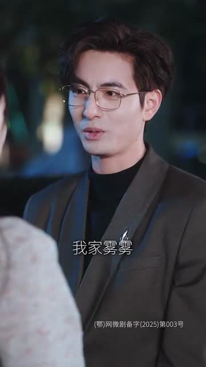 白昼焰火（100集）左下角看全集精彩短剧
