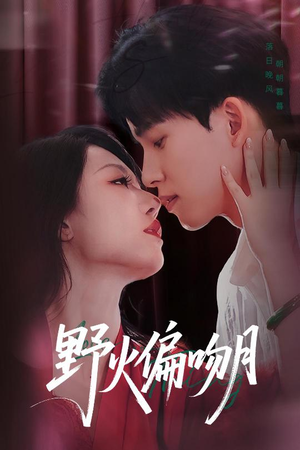 野火偏吻月（51集）短剧高清画质免费体验