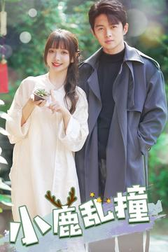 小鹿乱撞（40集）精彩短剧看全集