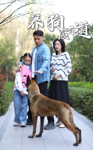 养狗应有道（60集）在线免费观看热门短剧