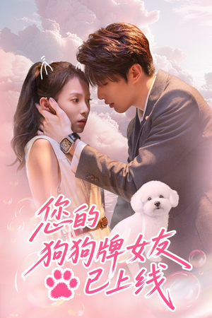 您的狗狗牌女友已上线（60集）真的太精彩了短剧分享社区