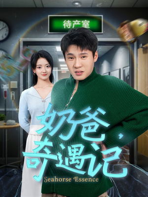 奶爸奇遇记（60集）红果短剧免费看荃集