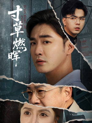 寸草燃晖（70集）西瓜短剧免费看