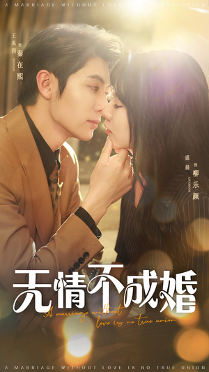 无情不成婚（70集）短剧推荐上热门