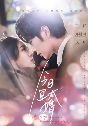 今日宜大婚（59集）在线观影短剧全集免费看
