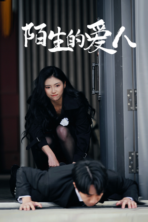 陌生的爱人（60集）免费短剧看全集