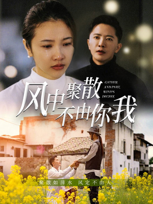 风中聚散不由你我（41集）零花钱看整部短剧的优质平台