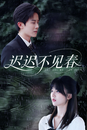 迟迟不见春（83集）在红果短剧免费看全集