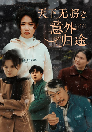 天下无拐之意外归途（61集）精彩短剧抢先看全集