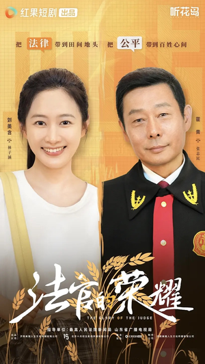 法官的荣耀（5集全）一口气看完全季短剧