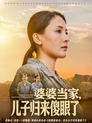 婆婆当家儿子归来傻眼了（80集）一键在线观看全集短剧