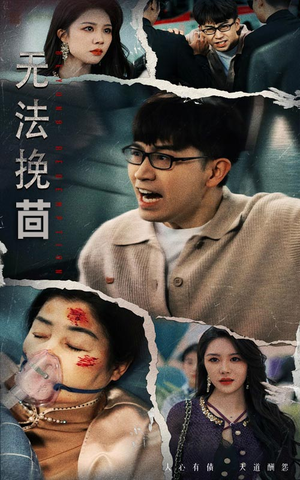 无法挽回（56集）最新热播短剧推荐