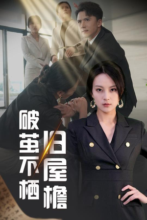 破茧不栖旧屋檐（30集）免费观看到短剧大结局