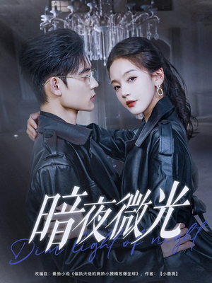 暗夜微光（86集）免费的短剧就是爽