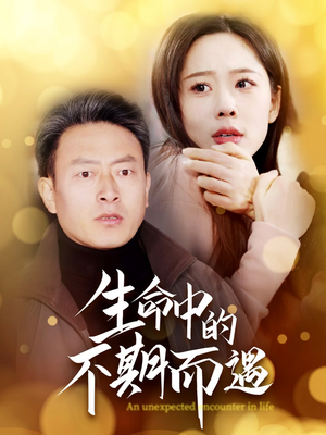生命中的不期而遇（35集）热播短剧停不下来