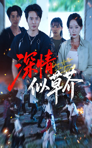 深情似草芥（51集）爆款短剧抢先看