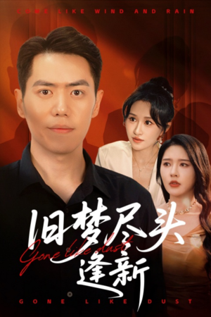 旧梦尽头逢新（46集）排行榜前十短剧