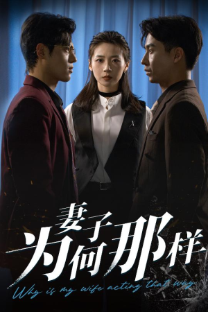 妻子为何那样（60集）免费看全网短剧