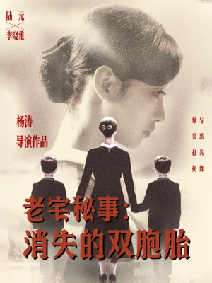 老宅秘事消失的双胞胎（90集）一毛不花追完短剧
