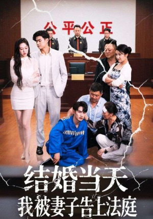 结婚当天我被妻子告上法庭（30集）免费看剧热门短剧