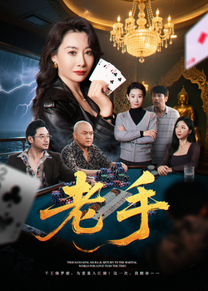 老手（36集）精彩短剧抢先看
