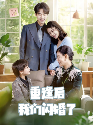 重逢后我们闪婚了（35集）短剧全集大结局