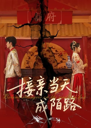 接亲当天成陌路（50集）免费短剧观看爽翻天