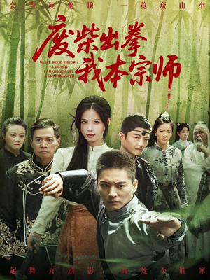 废柴出拳我本宗师（61集）新番短剧计划好剧分享