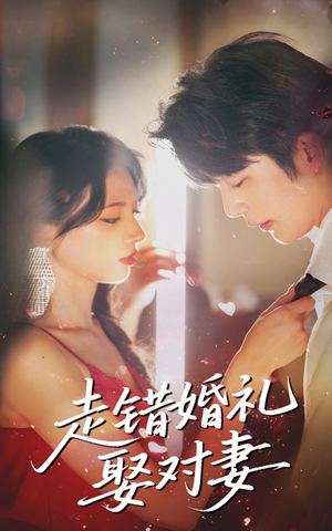 走错婚礼娶对妻（60集）一口气看到热门短剧全集