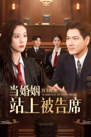 短剧《当婚姻站上被告席》30集短剧手机高清版在线观看